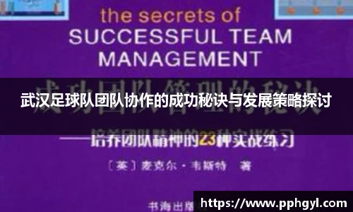 武汉足球队团队协作的成功秘诀与发展策略探讨